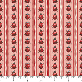 Ladybugs in Line