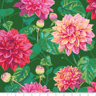 Dahlias