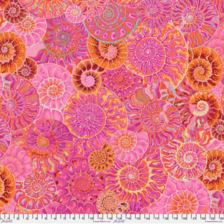 Ammonites in Pink