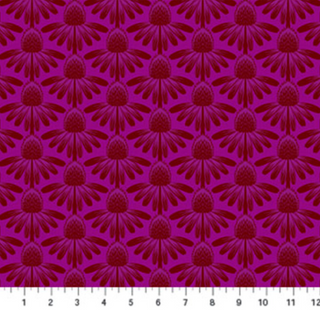 Coneflower in Magenta