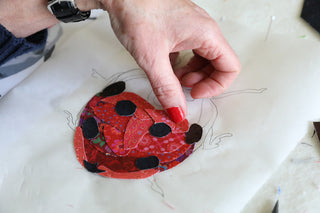 Ladybug Complete Kit