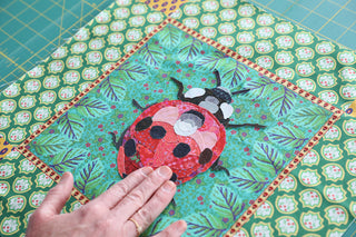 Ladybug Complete Kit