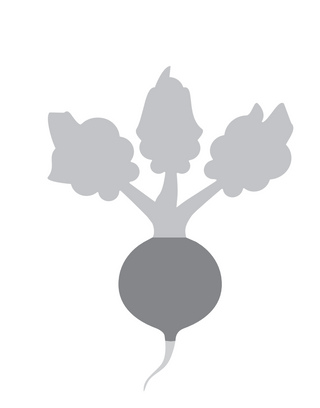 Harvest Radish Downloadable Pattern