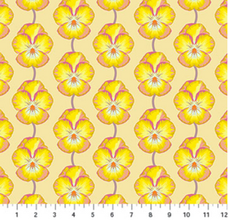 Pansy in Muted
