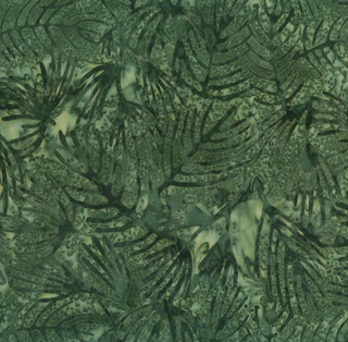 Branches in Evergreen