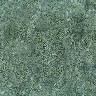 Pine Needles in Evergreen
