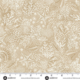 Reef in Cream