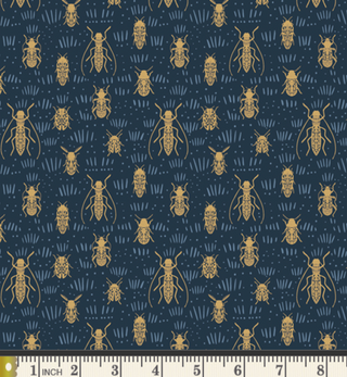 Beetle Parade in Moon
