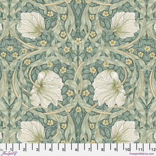 Small Pimpernel in Olive