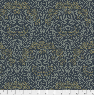 Michaelmas Daisy in Ink