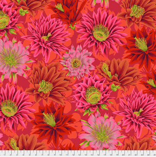 Cactus Flower in Red