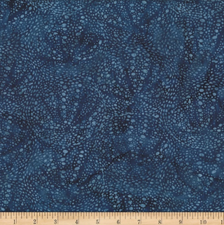 Sea Urchin in Atlantic