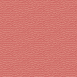 Stripe Amaryllis in Rosy