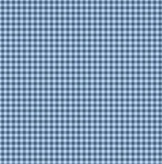 Gingham in Blue