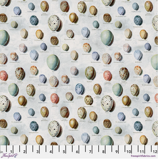 Eggs in Blue