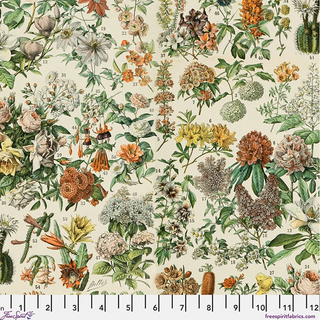 Botanical Canvas in Orange