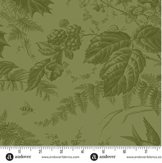 Vermont Spruce