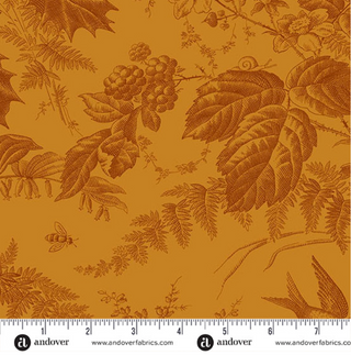 Vermont in Amber