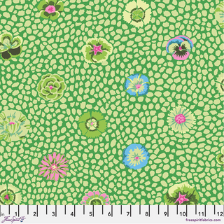 Guinea Flower in Moss