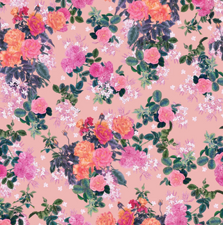 Rosa in Rose