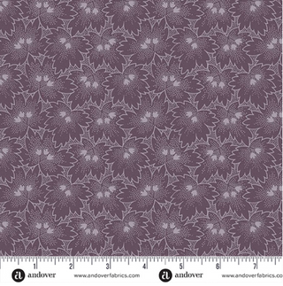 Bunchberry in Purple