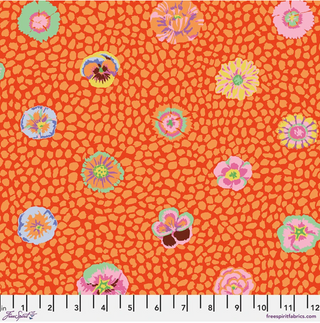 Guinea Flower in Apricot