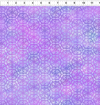 Felicity in Lavender
